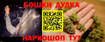 дурь Сланцы
