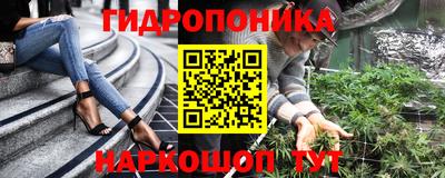 гашик Свободный